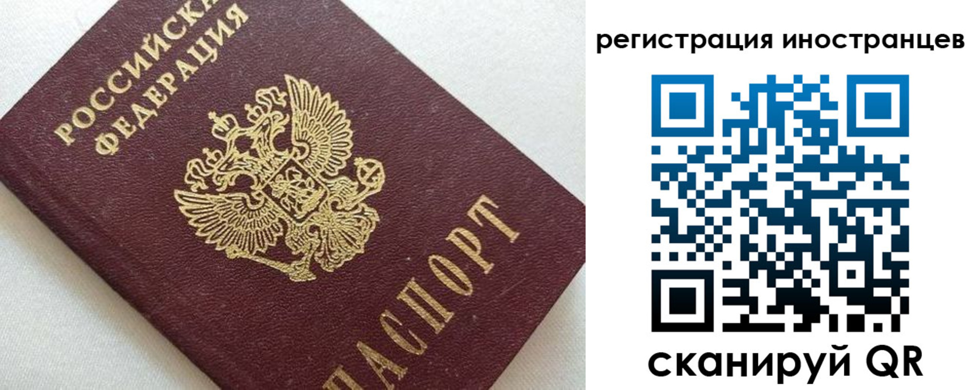 прописка в Щиграх